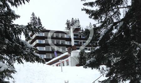 Bild von  Arosa Alpine Club